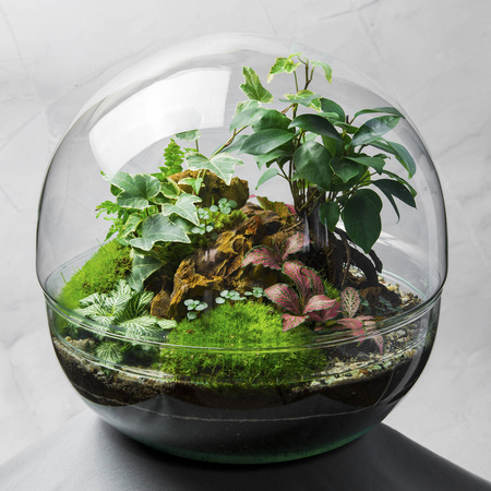 Szklane terrarium kula las w szkle XL W-603+W-604 H:28cm D:28cm