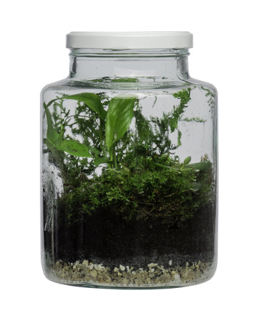 Słój H:20cm D:14,5cm WM-G001+nakrętka met. Biotop