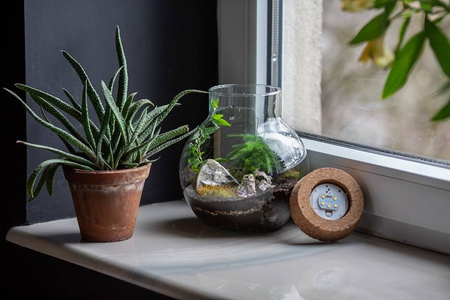 Szklany wazon kula z korkiem LED W-503I H:19,5cm D:19cm