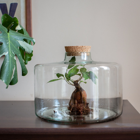 Szklany wazon słój W-754A+korek H:18cm D:23cm