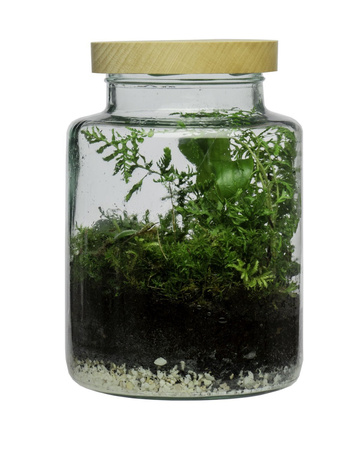 Szklany słój WM-G001 H:20cm D:14,5cm+ nakrętka z drewna