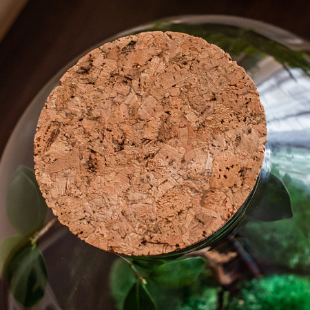 Szklana kula las w szkle D:28cm+korek gruboziarnisty