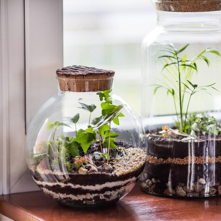 Szklany wazon kula las w szkle W-487B + korek kora lita H:23cm D:22cm