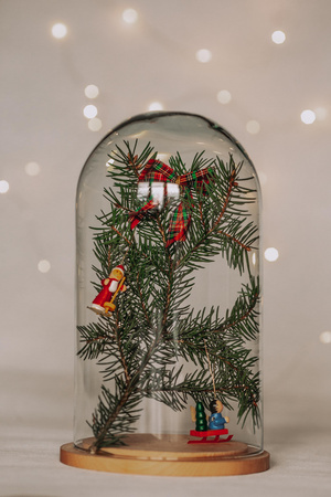 Kopuła szklana z podstawką drewnianą, W-315L H:27 cm D:17cm