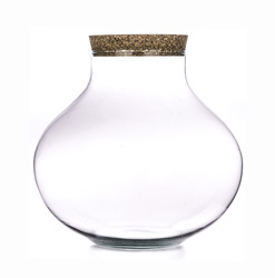 Szklane terrarium W-591A + korek H:30cm D:31cm