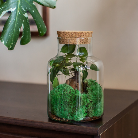 Szklany wazon słój W-395K2+korek H:20cm D:14,5cm