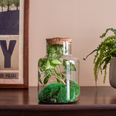 Szklany wazon W-395K2+kora lita H:22cm D:14,5cm