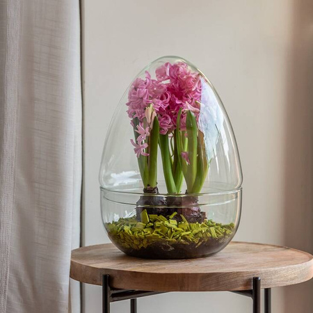 Szklane terrarium jajko W-694+W-694/I H:26,5cm D:19,8cm