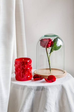 Kopuła szklana z podstawką drewnianą, klosz W-315D2 H:21cm D:15cm