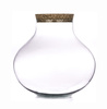 Szklane terrarium W-591A + korek H:30cm D:31cm