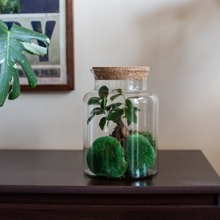 Szklany wazon słój W-332+korek H:27cm D:19cm