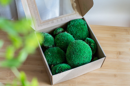 Mech stabilizowany średnia zieleń