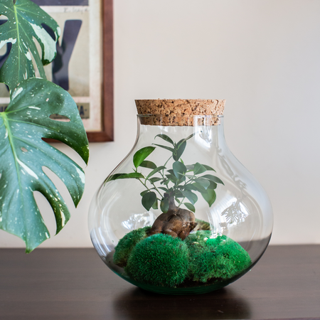 Szklany wazon W-591 + korek gruboziarnisty H:26cm D:26cm