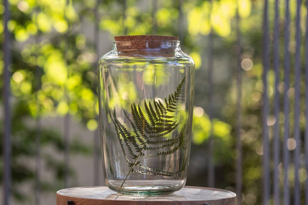 Wazon szklany słój W-759+korek H:30cm D:17cm SALE